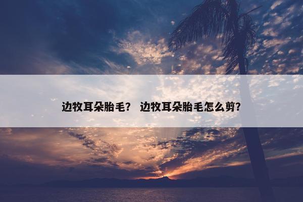 边牧耳朵胎毛？ 边牧耳朵胎毛怎么剪？