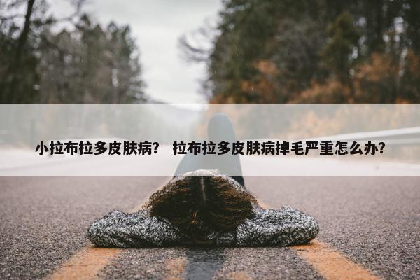 小拉布拉多皮肤病？ 拉布拉多皮肤病掉毛严重怎么办？