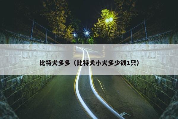 比特犬多多（比特犬小犬多少钱1只）