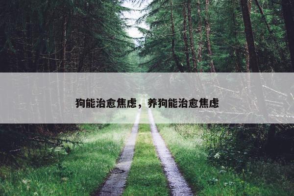 狗能治愈焦虑，养狗能治愈焦虑