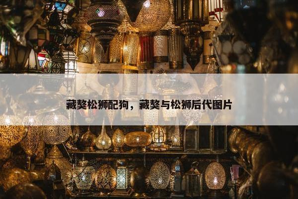 藏獒松狮配狗，藏獒与松狮后代图片