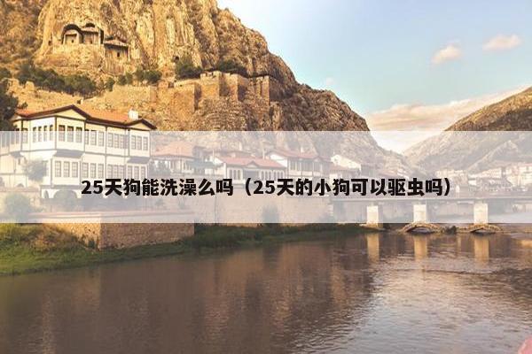 25天狗能洗澡么吗（25天的小狗可以驱虫吗）