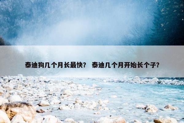 泰迪狗几个月长最快？ 泰迪几个月开始长个子？