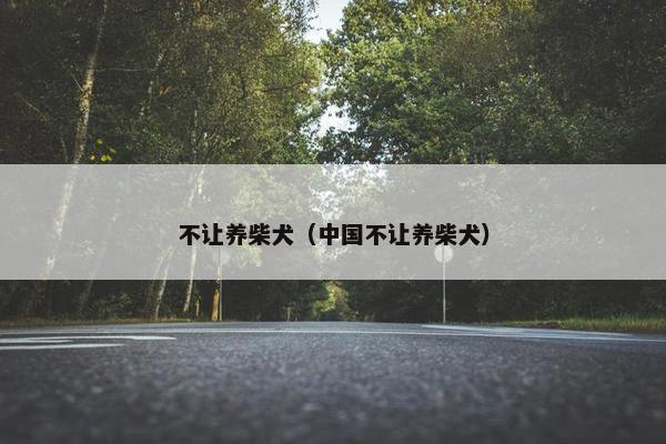 不让养柴犬（中国不让养柴犬）