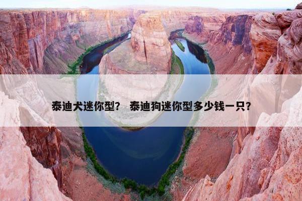 泰迪犬迷你型？ 泰迪狗迷你型多少钱一只？