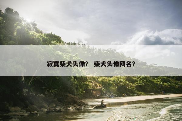 寂寞柴犬头像？ 柴犬头像网名？