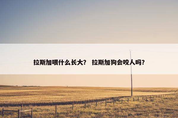 拉斯加喂什么长大？ 拉斯加狗会咬人吗？