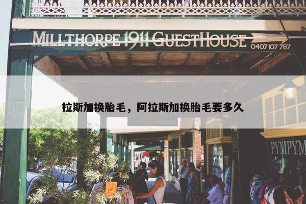 拉斯加换胎毛，阿拉斯加换胎毛要多久