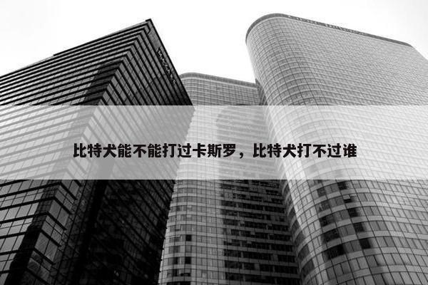 比特犬能不能打过卡斯罗，比特犬打不过谁