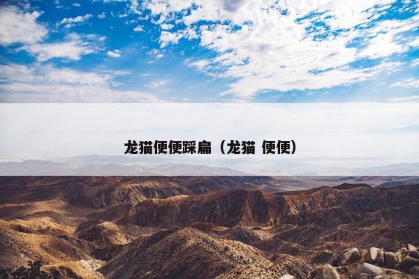 龙猫便便踩扁（龙猫 便便）