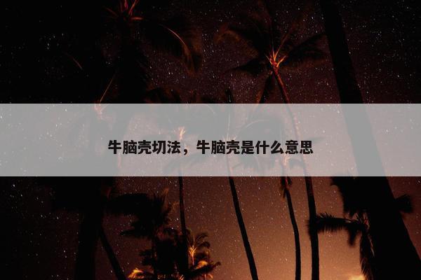 牛脑壳切法，牛脑壳是什么意思