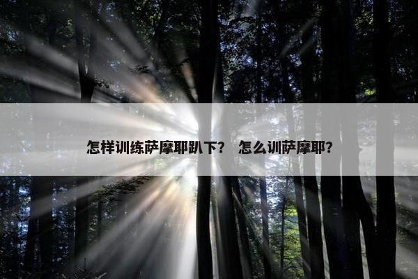 怎样训练萨摩耶趴下？ 怎么训萨摩耶？