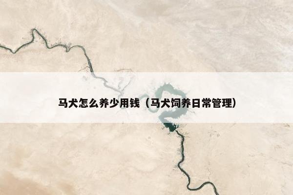 马犬怎么养少用钱（马犬饲养日常管理）