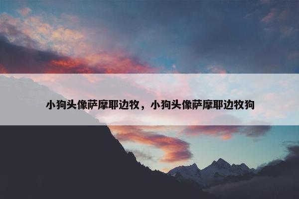 小狗头像萨摩耶边牧，小狗头像萨摩耶边牧狗