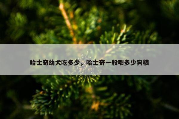 哈士奇幼犬吃多少，哈士奇一般喂多少狗粮