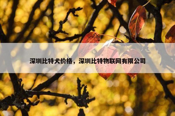 深圳比特犬价格，深圳比特物联网有限公司