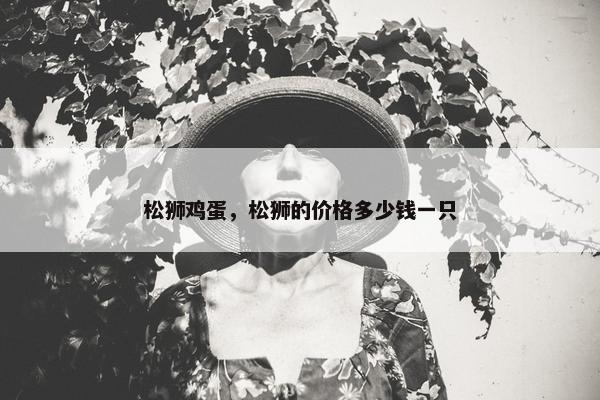 松狮鸡蛋，松狮的价格多少钱一只