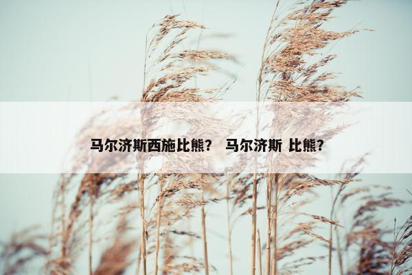 马尔济斯西施比熊？ 马尔济斯 比熊？