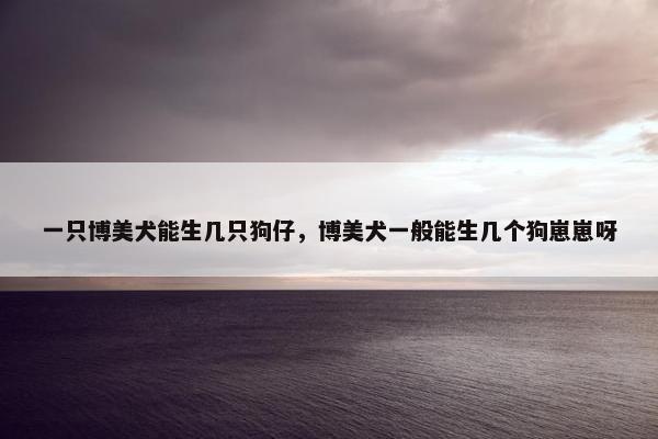 一只博美犬能生几只狗仔，博美犬一般能生几个狗崽崽呀