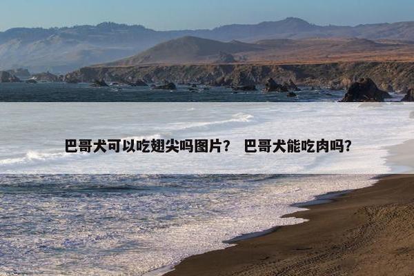 巴哥犬可以吃翅尖吗图片？ 巴哥犬能吃肉吗？