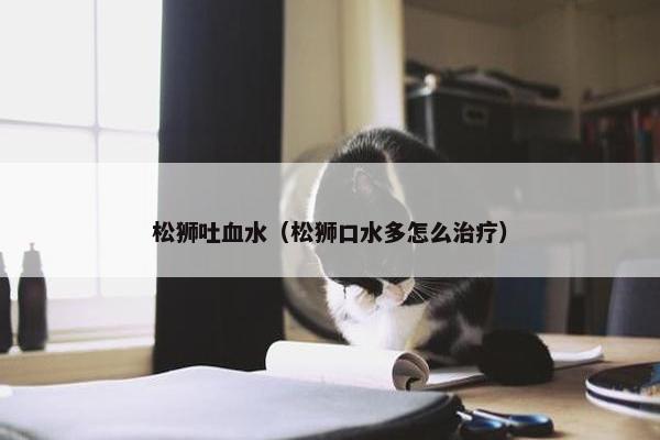 松狮吐血水（松狮口水多怎么治疗）