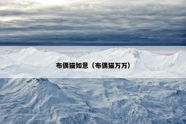 布偶猫如意（布偶猫万万）