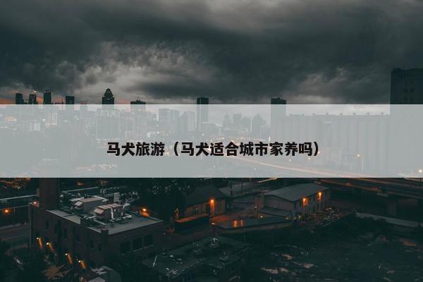 马犬旅游（马犬适合城市家养吗）