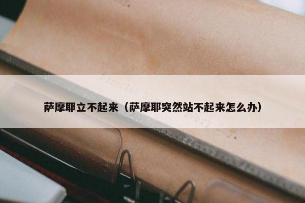 萨摩耶立不起来（萨摩耶突然站不起来怎么办）