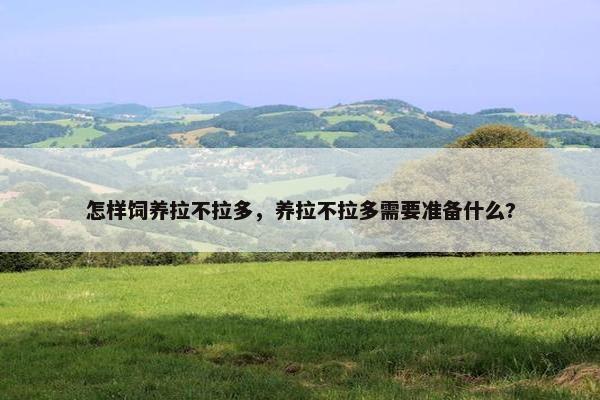 怎样饲养拉不拉多，养拉不拉多需要准备什么?