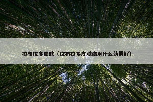 拉布拉多皮肤（拉布拉多皮肤病用什么药最好）