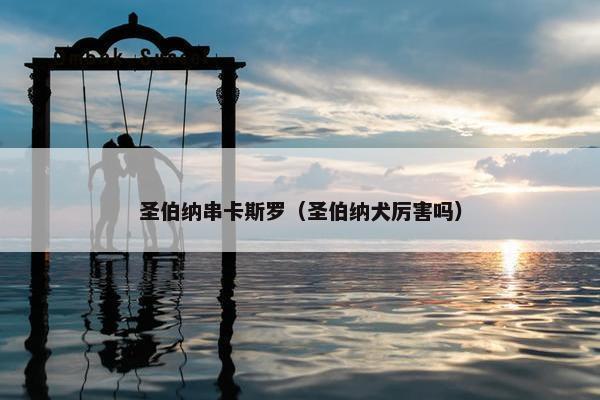 圣伯纳串卡斯罗（圣伯纳犬厉害吗）