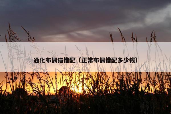 通化布偶猫借配（正常布偶借配多少钱）