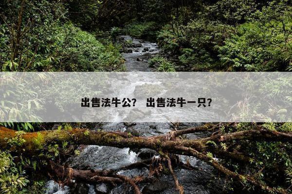 出售法牛公？ 出售法牛一只？