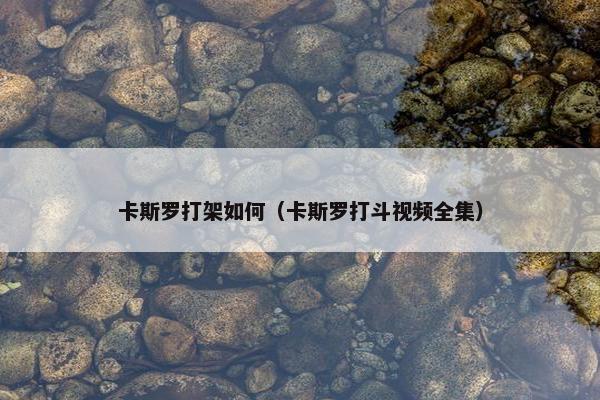 卡斯罗打架如何（卡斯罗打斗视频全集）