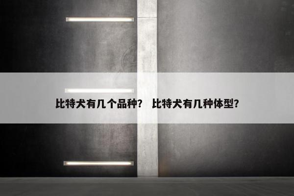 比特犬有几个品种？ 比特犬有几种体型？