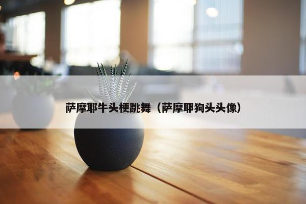 萨摩耶牛头梗跳舞（萨摩耶狗头头像）