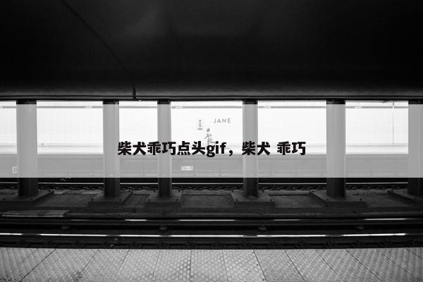 柴犬乖巧点头gif，柴犬 乖巧