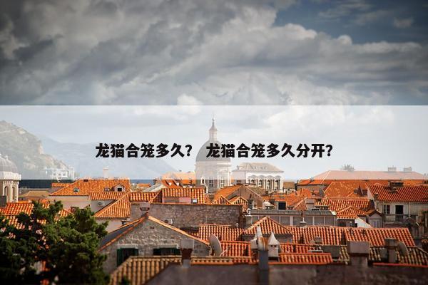 龙猫合笼多久？ 龙猫合笼多久分开？