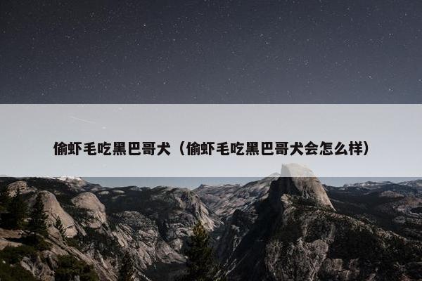 偷虾毛吃黑巴哥犬（偷虾毛吃黑巴哥犬会怎么样）