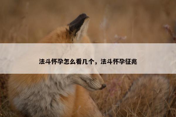 法斗怀孕怎么看几个，法斗怀孕征兆