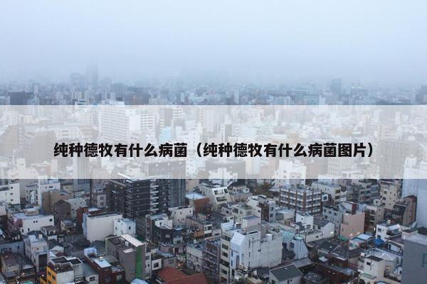 纯种德牧有什么病菌（纯种德牧有什么病菌图片）