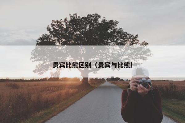 贵宾比熊区别（贵宾与比熊）
