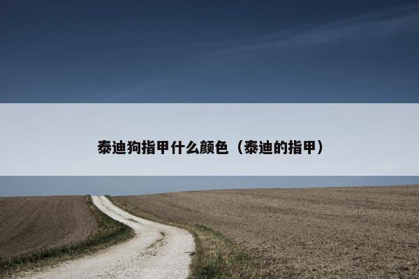 泰迪狗指甲什么颜色（泰迪的指甲）