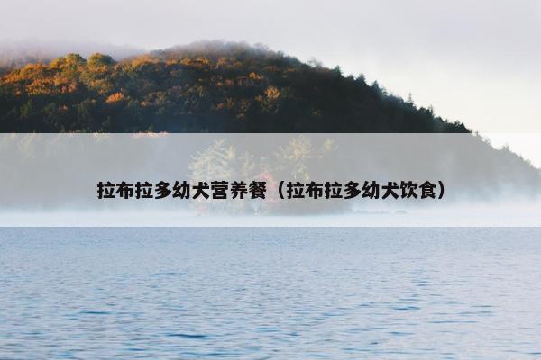 拉布拉多幼犬营养餐（拉布拉多幼犬饮食）