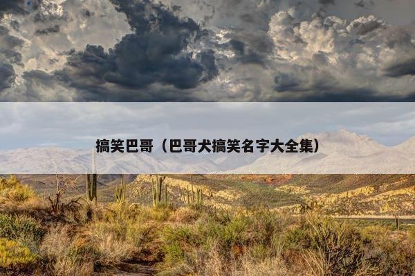 搞笑巴哥（巴哥犬搞笑名字大全集）