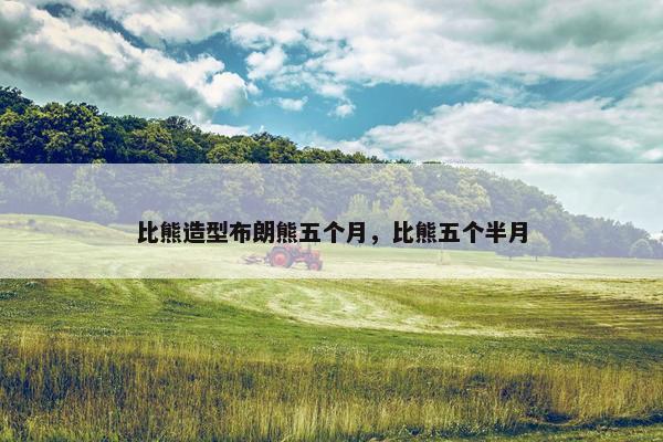 比熊造型布朗熊五个月，比熊五个半月