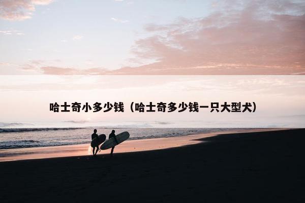 哈士奇小多少钱（哈士奇多少钱一只大型犬）