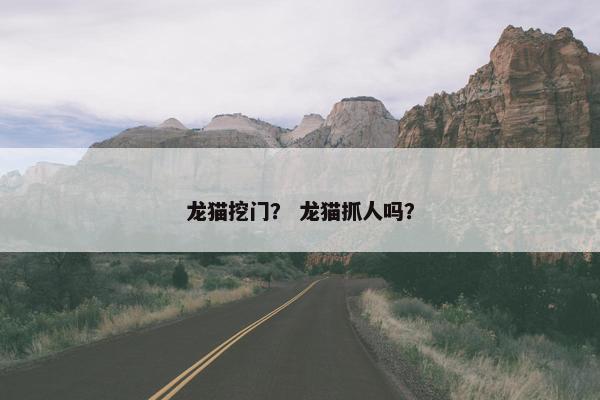龙猫挖门？ 龙猫抓人吗？