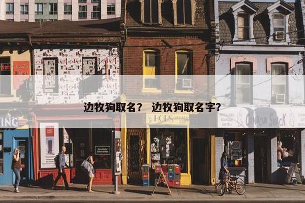 边牧狗取名？ 边牧狗取名字？