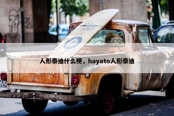 人形泰迪什么梗，hayato人形泰迪